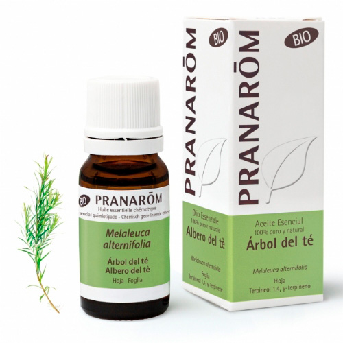 PRANAROM AE ARBOL DE TE BIO 10ML