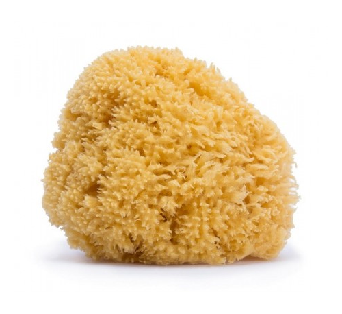 SUAVINEX ESPONJA NATURAL GD
