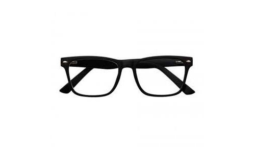 NORDIC VISION SCREEN GLASSES GOTLAND BROWN +2.50
