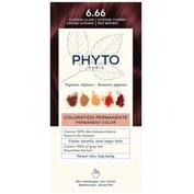 Phyto color kit coloracion 6.66